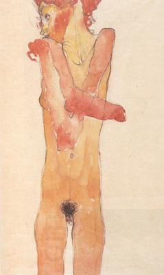 Egon Schiele Nude Girl with Folded Arms (mk12) oil painting picture